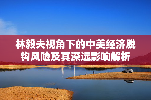 林毅夫视角下的中美经济脱钩风险及其深远影响解析