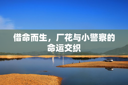 借命而生，厂花与小警察的命运交织