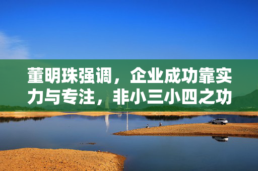 董明珠强调，企业成功靠实力与专注，非小三小四之功