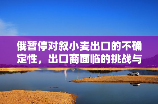 俄暂停对叙小麦出口的不确定性，出口商面临的挑战与担忧