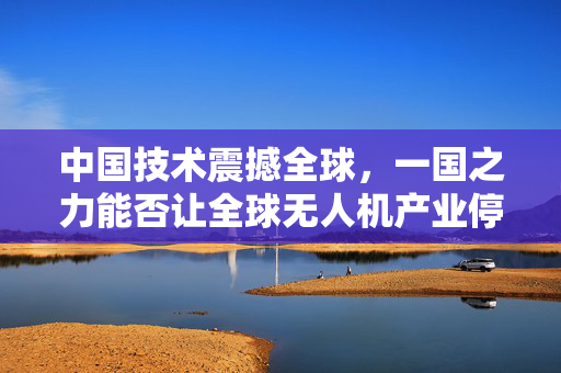 中国技术震撼全球，一国之力能否让全球无人机产业停摆一年？