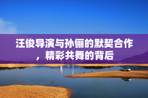 汪俊导演与孙俪的默契合作，精彩共舞的背后