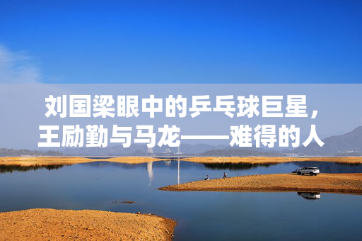 刘国梁眼中的乒乓球巨星，王励勤与马龙——难得的人才的对比与评价