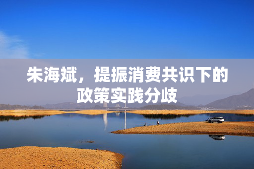 朱海斌，提振消费共识下的政策实践分歧