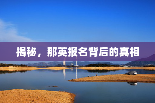 揭秘，那英报名背后的真相