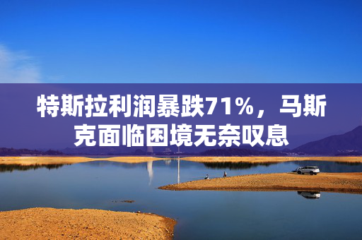 特斯拉利润暴跌71%，马斯克面临困境无奈叹息