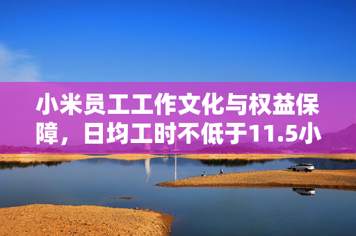小米员工工作文化与权益保障，日均工时不低于11.5小时的探讨