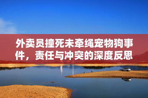 外卖员撞死未牵绳宠物狗事件，责任与冲突的深度反思