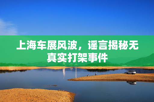 上海车展风波，谣言揭秘无真实打架事件
