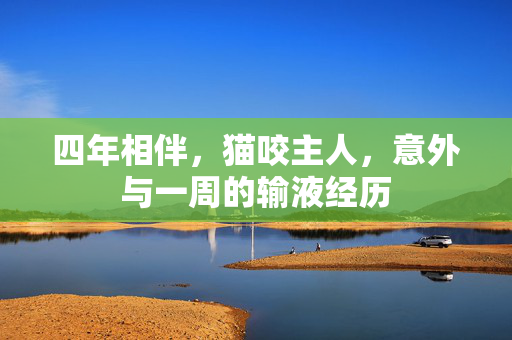 四年相伴，猫咬主人，意外与一周的输液经历