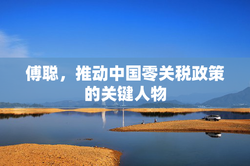 傅聪，推动中国零关税政策的关键人物