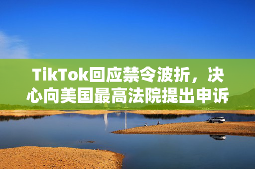 TikTok回应禁令波折，决心向美国最高法院提出申诉