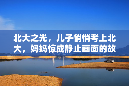北大之光，儿子悄悄考上北大，妈妈惊成静止画面的故事