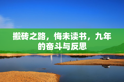 搬砖之路，悔未读书，九年的奋斗与反思