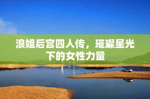 浪姐后宫四人传，璀璨星光下的女性力量