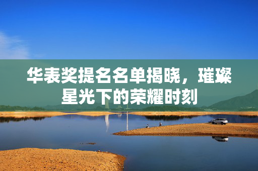 华表奖提名名单揭晓，璀璨星光下的荣耀时刻