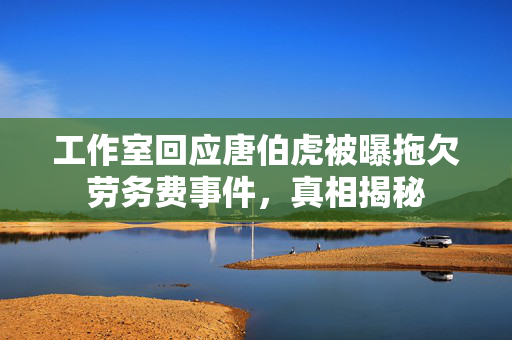 工作室回应唐伯虎被曝拖欠劳务费事件，真相揭秘