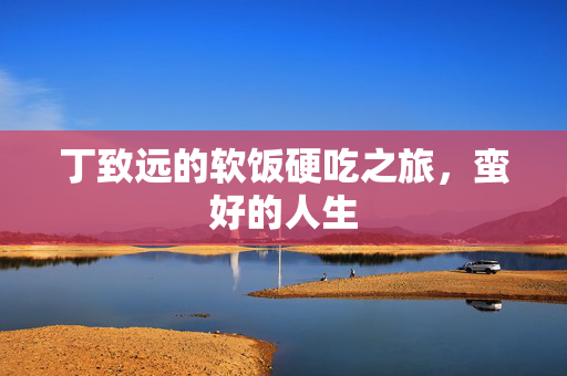 丁致远的软饭硬吃之旅，蛮好的人生