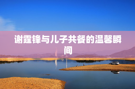 谢霆锋与儿子共餐的温馨瞬间