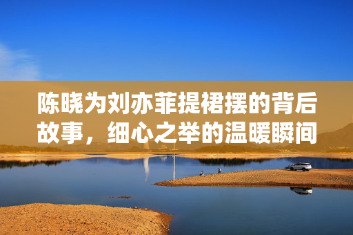 陈晓为刘亦菲提裙摆的背后故事，细心之举的温暖瞬间