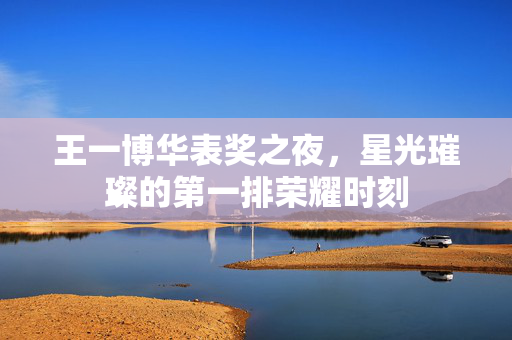 王一博华表奖之夜，星光璀璨的第一排荣耀时刻