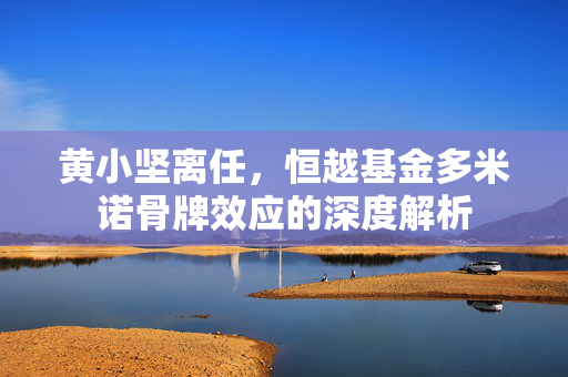 黄小坚离任，恒越基金多米诺骨牌效应的深度解析