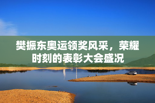 樊振东奥运领奖风采，荣耀时刻的表彰大会盛况