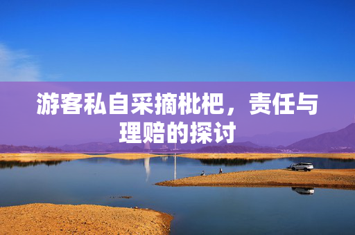 游客私自采摘枇杷，责任与理赔的探讨