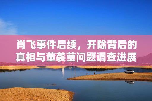 肖飞事件后续，开除背后的真相与董袭莹问题调查进展