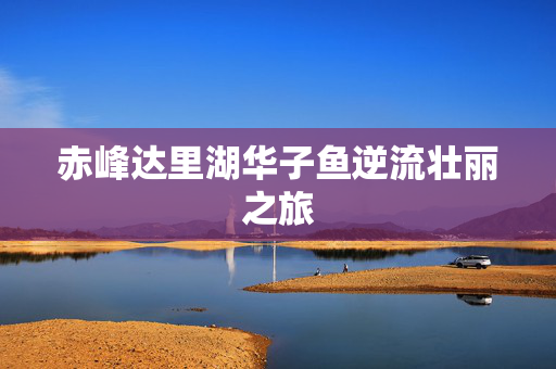 赤峰达里湖华子鱼逆流壮丽之旅