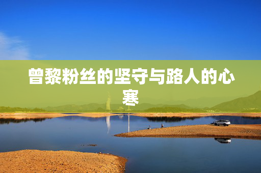 曾黎粉丝的坚守与路人的心寒