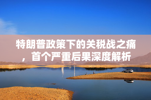 特朗普政策下的关税战之痛，首个严重后果深度解析