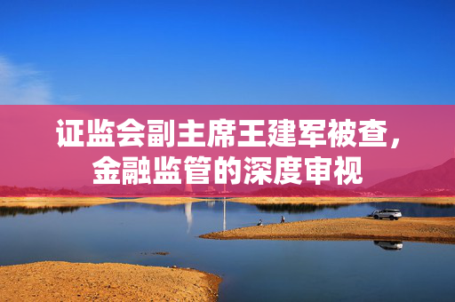 证监会副主席王建军被查，金融监管的深度审视