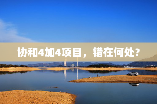协和4加4项目，错在何处？