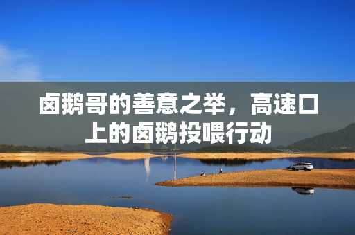 卤鹅哥的善意之举，高速口上的卤鹅投喂行动