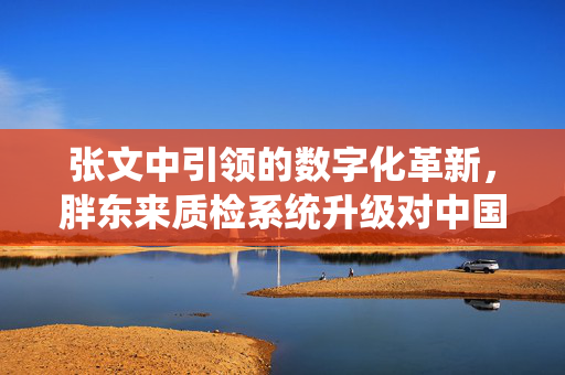 张文中引领的数字化革新，胖东来质检系统升级对中国质量安全标准的深远影响