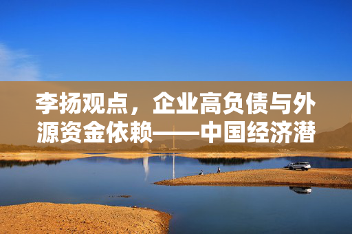 李扬观点，企业高负债与外源资金依赖——中国经济潜在最大隐患