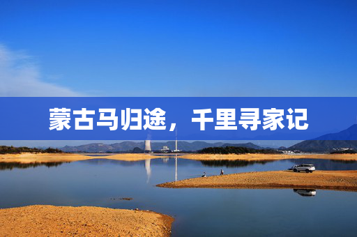 蒙古马归途，千里寻家记