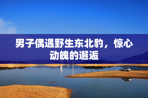 男子偶遇野生东北豹，惊心动魄的邂逅