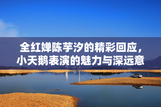 全红婵陈芋汐的精彩回应，小天鹅表演的魅力与深远意义