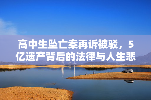 高中生坠亡案再诉被驳，5亿遗产背后的法律与人生悲剧