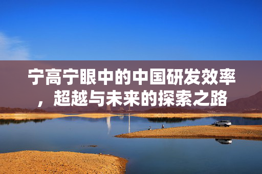 宁高宁眼中的中国研发效率，超越与未来的探索之路