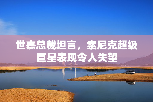 世嘉总裁坦言，索尼克超级巨星表现令人失望