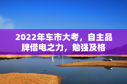 2022年车市大考，自主品牌借电之力，勉强及格