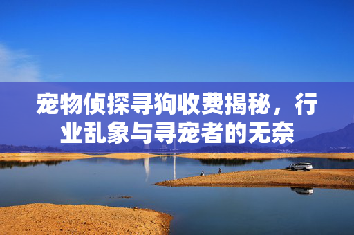 宠物侦探寻狗收费揭秘，行业乱象与寻宠者的无奈