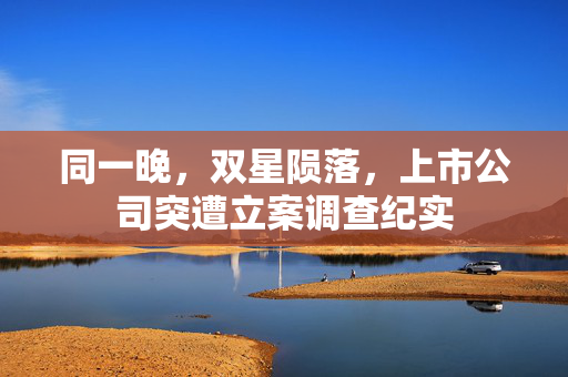 同一晚，双星陨落，上市公司突遭立案调查纪实