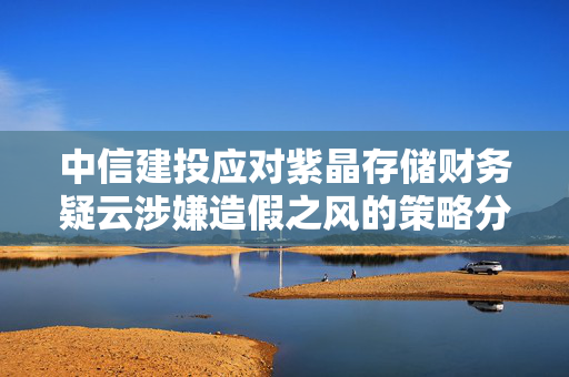 中信建投应对紫晶存储财务疑云涉嫌造假之风的策略分析