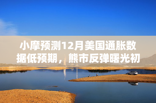 小摩预测12月美国通胀数据低预期，熊市反弹曙光初现助力美股