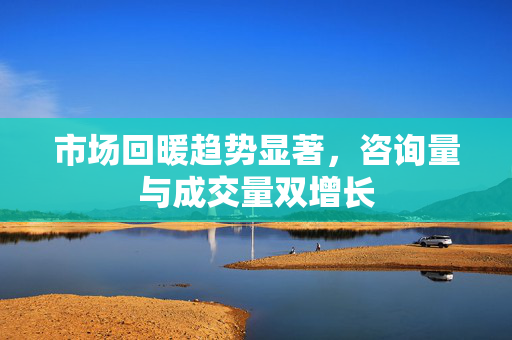 市场回暖趋势显著，咨询量与成交量双增长