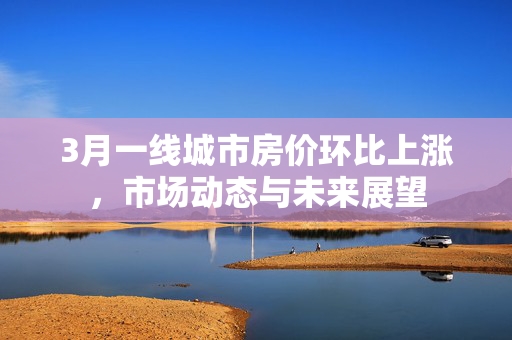 3月一线城市房价环比上涨，市场动态与未来展望